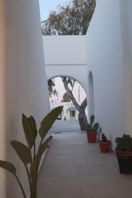 Appartement To Spitaki Sas, In Santorini!